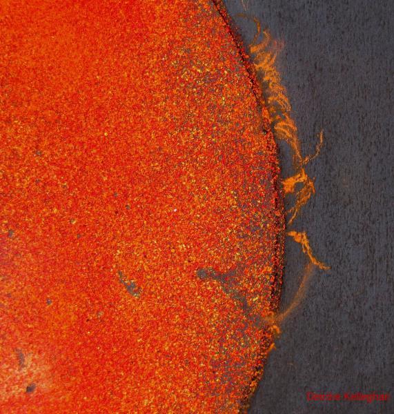 The Sun in H-alpha