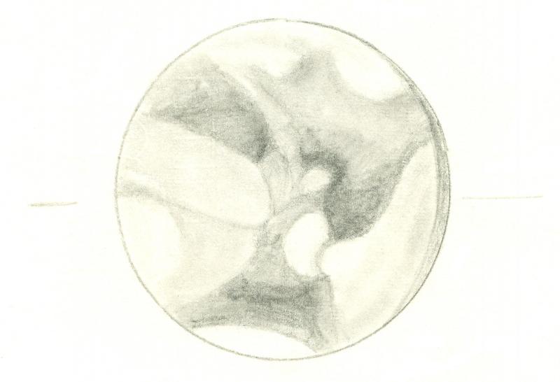 Mars 196102062300