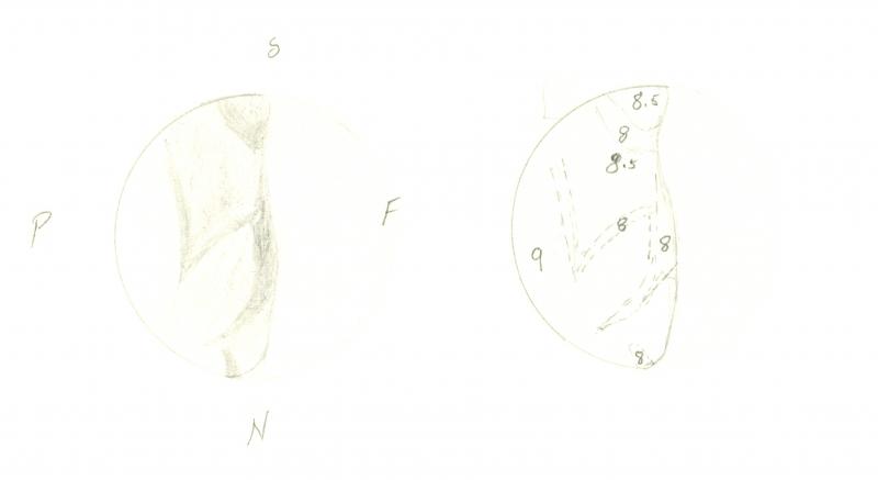 Venus 196012241900